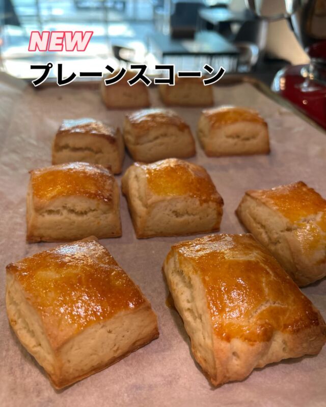 NEW...

本日ついにスコーンが新発売です‼️
気になるお味は、
プレーンとチョコ&クルミの2種です😊✨

おやつやほっと一息ついた時にいかがですか？

WIZ365
熊本市中央区上水前寺1丁目6-36九州電力熊本支店1階
☎︎096-200-9354
※ご予約はDM等では受け付けておりません。

営業時間：11:00~19:00
ランチ：11:30~15:00(L.O.14:30)
テイクアウト：11:00~19:00(L.O.18:30)
定休日：水曜日

#スコーン
#プレーン
#チョコ&くるみ
#wiz365
#お惣菜
#お弁当
#ランチ
#スイーツ
#オードブル
#テイクアウト
#九電
#プリン
#ケーキ
#配達
#上水前寺
#九州電力
